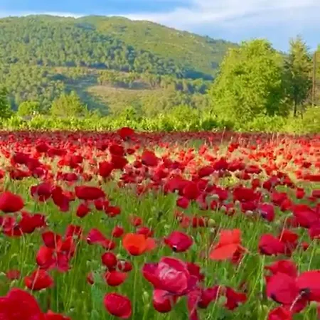 Casa de Férias Arzu Fethiye