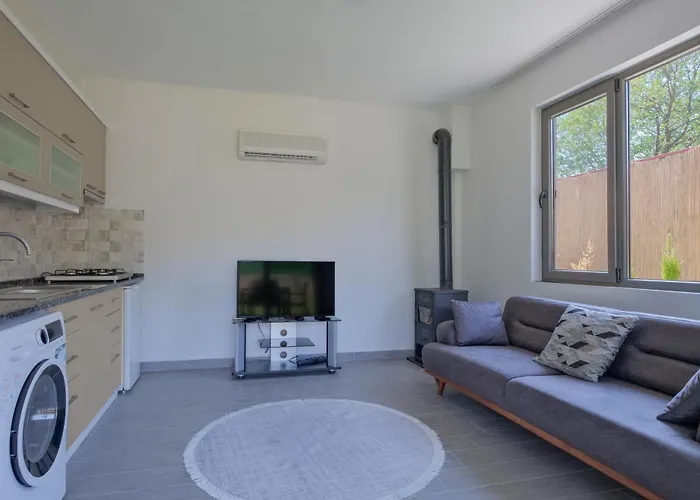 Arzu * Φετιγιέ