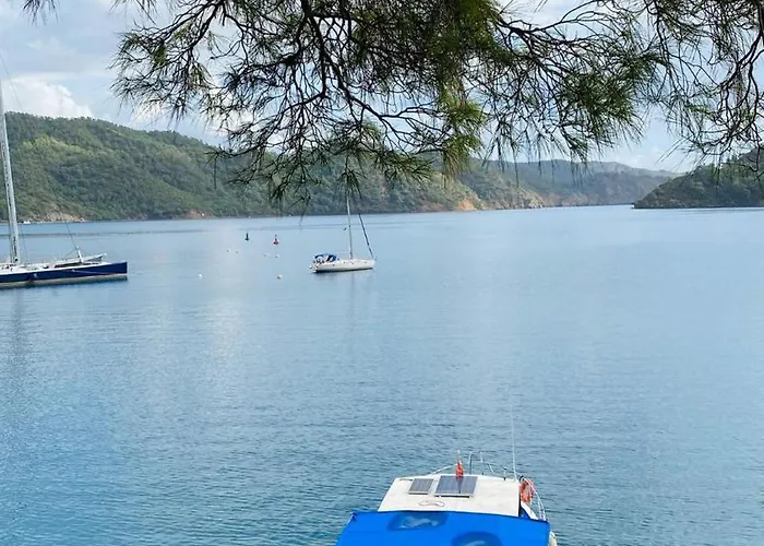 Hébergement de vacances Arzu *