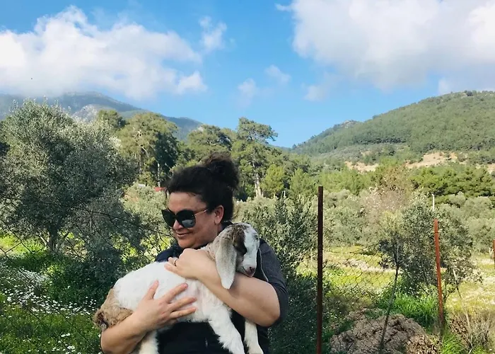 Arzu 度假居 费特希耶