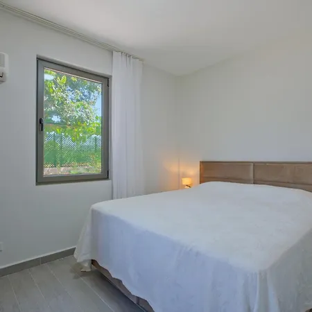 Arzu フェティエ