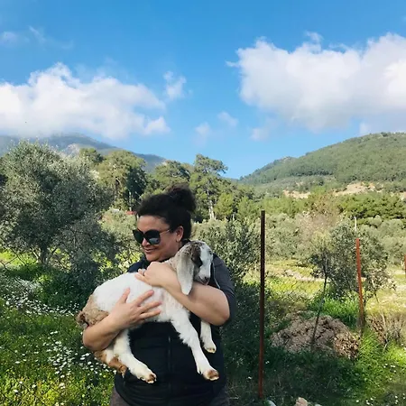 Arzu 別荘 フェティエ